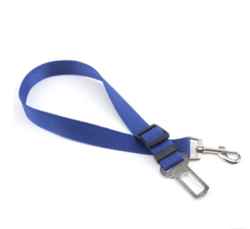 Fixed Dog Strap Polyester Leash