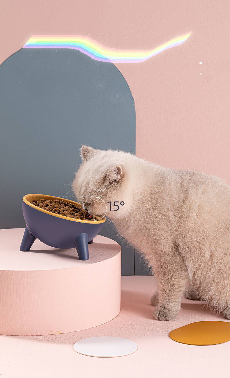 Cat Dog Bowl with Stand