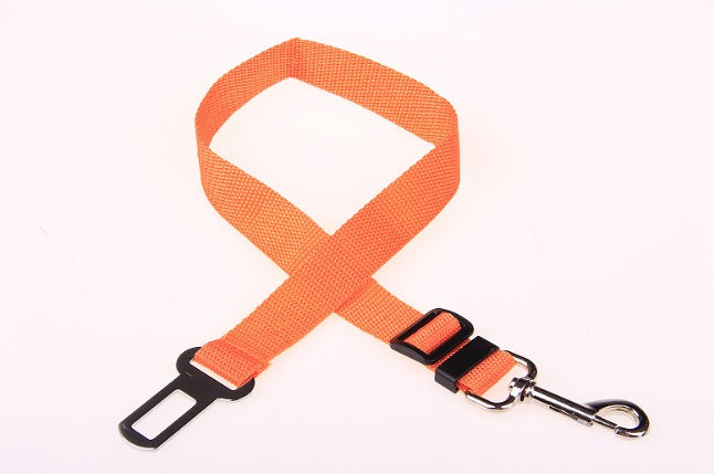 Fixed Dog Strap Polyester Leash