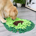 Training Mat Toy