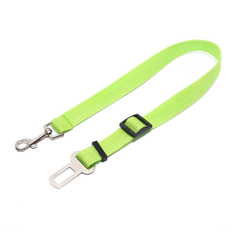 Fixed Dog Strap Polyester Leash