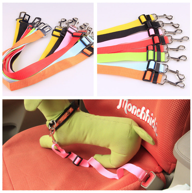 Fixed Dog Strap Polyester Leash