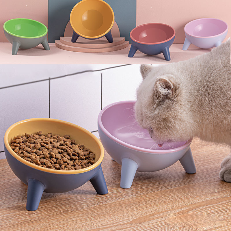 Cat Dog Bowl with Stand