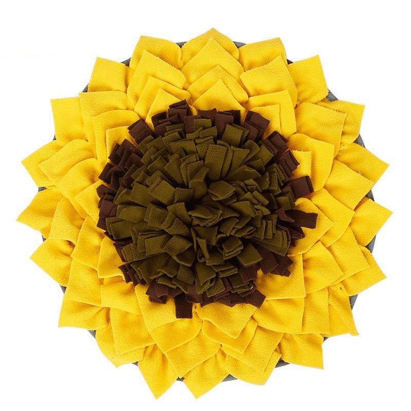Training Mat Toy