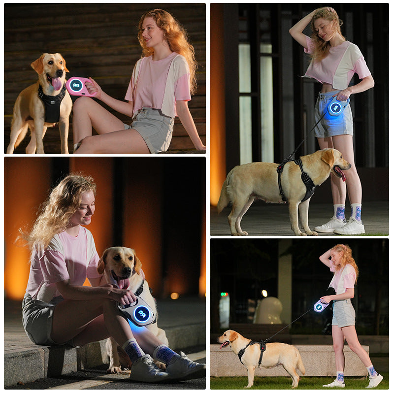 LED Light Dog Leash