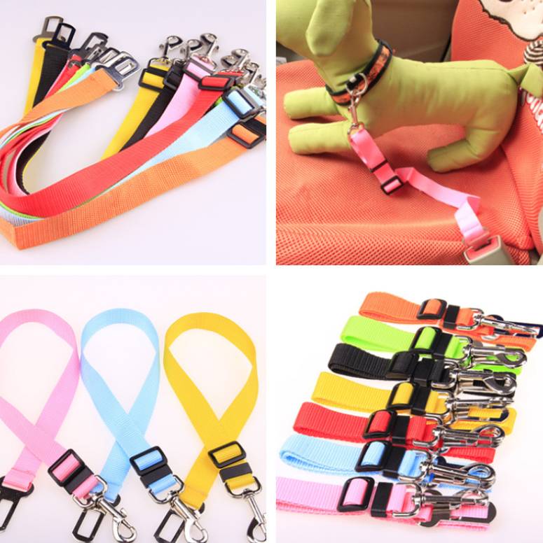Fixed Dog Strap Polyester Leash